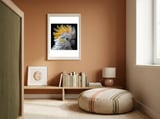 Close Up Of A Cockatoo With Yellow Crest framed in a gentle room thumbnail
