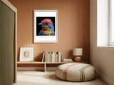 Close Up Of Colorful Bird With Water Droplets framed in a gentle room thumbnail