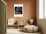 Close Up Portrait Of A Colorful Exotic Parrot framed in a gentle room thumbnail