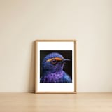 close-up-portrait-of-a-vibrant-exotic-bird-1 — framed, leaning against the wall thumbnail
