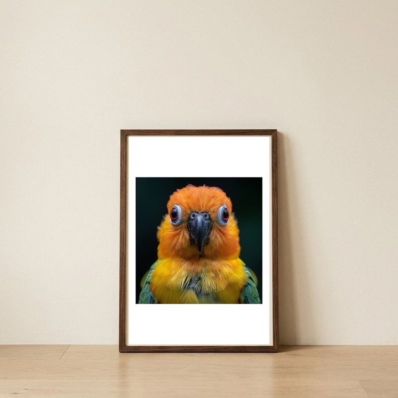 close-up-sun-conure-parrot-portrait-eyes-1 — framed, leaning against the wall