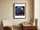 close-up-vibrant-parrot-eye-1 framed in a focused room thumbnail