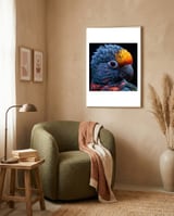 close-up-vibrant-parrot-eye-1 framed in a tender room thumbnail