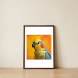 close-up-cockatiel-parrot-with-yellow-crest-1 — framed, leaning against the wall thumbnail