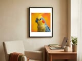close-up-cockatiel-parrot-with-yellow-crest-1 framed in a focused room thumbnail