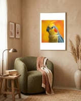 close-up-cockatiel-parrot-with-yellow-crest-1 framed in a tender room thumbnail