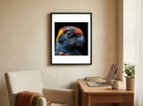 close-up-of-a-colorful-parrot-birds-head-1 framed in a focused room thumbnail