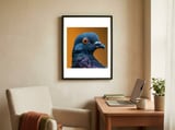 close-up-of-a-pigeons-head-and-neck-2 framed in a focused room thumbnail