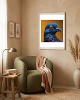 close-up-of-a-pigeons-head-and-neck-2 framed in a tender room thumbnail