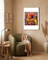 close-up-of-a-sun-conure-parrot-with-bright-feathers-1 framed in a tender room thumbnail