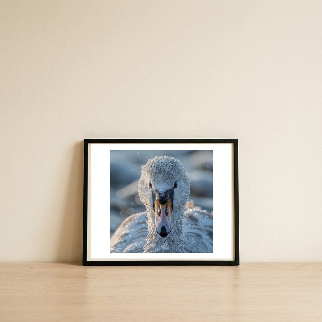 close-up-of-a-swan-in-frost-winter-bird-close-up-1 — framed, leaning against the wall