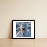 close-up-of-a-swan-in-frost-winter-bird-close-up-1 — framed, leaning against the wall thumbnail