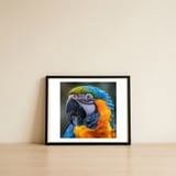 close-up-portrait-of-a-blue-and-gold-macaw-parrot-1 — framed, leaning against the wall thumbnail