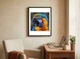 close-up-portrait-of-a-blue-and-gold-macaw-parrot-1 framed in a focused room thumbnail
