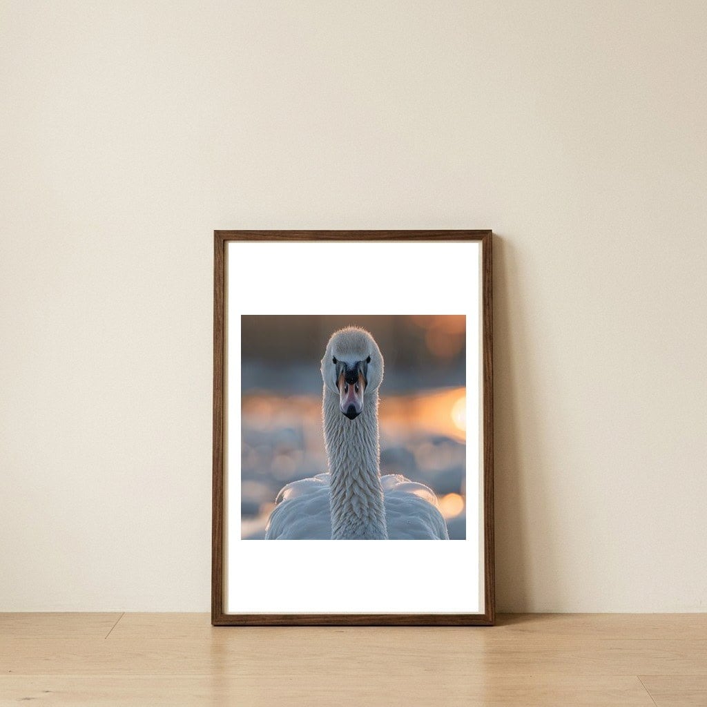close-up-portrait-of-a-majestic-swan-1 — framed, leaning against the wall