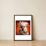 close-up-portrait-of-a-white-cockatoo-parrot-1 — framed, leaning against the wall thumbnail