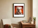 close-up-portrait-of-a-white-cockatoo-parrot-1 framed in a focused room thumbnail