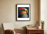 cockatiel-parrot-closeup-vibrant-feather-1 framed in a focused room thumbnail