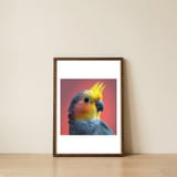 cockatiel-parrot-head-close-up-portrait-1 — framed, leaning against the wall thumbnail