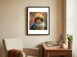 cockatiel-parrot-portrait-with-orange-cheeks-1 framed in a focused room thumbnail