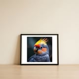 cockatiel-parrot-with-yellow-crest-and-orange-cheeks-1 — framed, leaning against the wall thumbnail
