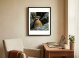 colorful-bird-perched-among-rocks-and-foliage-1 framed in a focused room thumbnail