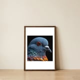 close-up-of-a-pigeon-bird-1 — framed, leaning against the wall thumbnail