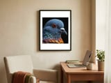 close-up-of-a-pigeon-bird-1 framed in a focused room thumbnail
