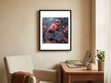elegant-flamingo-standing-in-water-reflection-1 framed in a focused room thumbnail