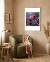 elegant-flamingo-standing-in-water-reflection-1 framed in a tender room thumbnail