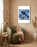 gentoo-penguin-in-its-natural-snowy-habitat-1 framed in a tender room thumbnail