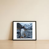 gentoo-penguin-standing-on-a-rocky-shore-1 — framed, leaning against the wall thumbnail