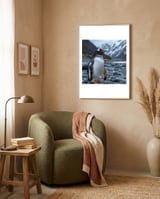 gentoo-penguin-standing-on-a-rocky-shore-1 framed in a tender room thumbnail