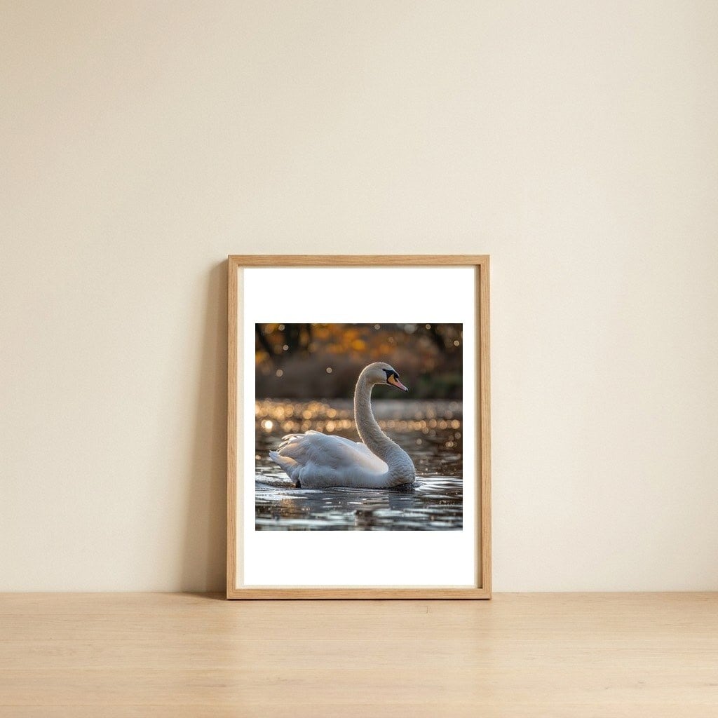 graceful-swan-gliding-on-reflective-water-surface-1 — framed, leaning against the wall