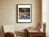 graceful-swan-gliding-on-reflective-water-surface-1 framed in a focused room thumbnail