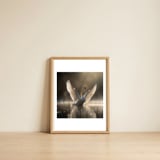 graceful-swan-spreading-wings-on-sparkling-water-1 — framed, leaning against the wall thumbnail