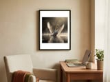 graceful-swan-spreading-wings-on-sparkling-water-1 framed in a focused room thumbnail