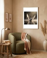 graceful-swan-spreading-wings-on-sparkling-water-1 framed in a tender room thumbnail