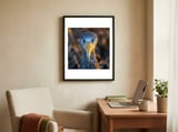 great-blue-heron-closeup-dramatic-portrait-1 framed in a focused room thumbnail