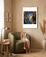 great-blue-heron-closeup-dramatic-portrait-1 framed in a tender room thumbnail