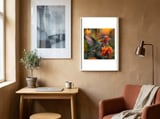 hummingbird-hovering-near-orange-flowers-1 framed in a focused room thumbnail