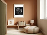 Majestic Lion Face Closeup Golden Eyes Black framed in a gentle room thumbnail