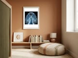 Majestic White Peacock Displaying Its Feathers framed in a gentle room thumbnail