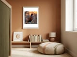 Pheasant Bird Standing On Rock Sunrise Light framed in a gentle room thumbnail