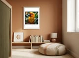 Sun Conure Parrot Colorful Bird Perched On Branch framed in a gentle room thumbnail