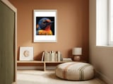 Vibrant Bird With Orange And Blue Plumage framed in a gentle room thumbnail