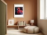Vibrant Flamingo Bird Profile Majestic Pose framed in a gentle room thumbnail