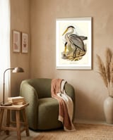 Elizabeth Gould – Great Grey Heron (Ardea leucophaea) | Birds of Australia Illustration framed in a tender room thumbnail