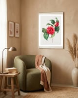 Pierre-Joseph Redouté – Finest Flowers and Fruits (1833) framed in a tender room thumbnail