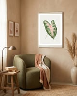Caladium ‘Carolyn Whorton’ Leaf (Hand Drawn Illustration) framed in a tender room thumbnail